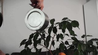 Taking care of my orange tree and getting hot